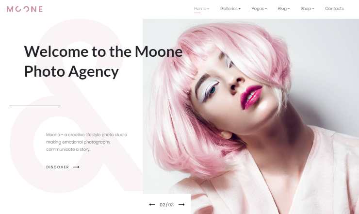 moone WordPress theme