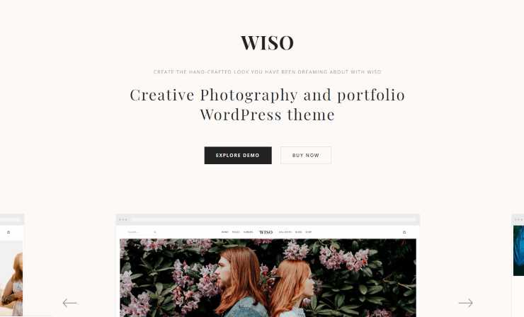 wiso WordPress theme