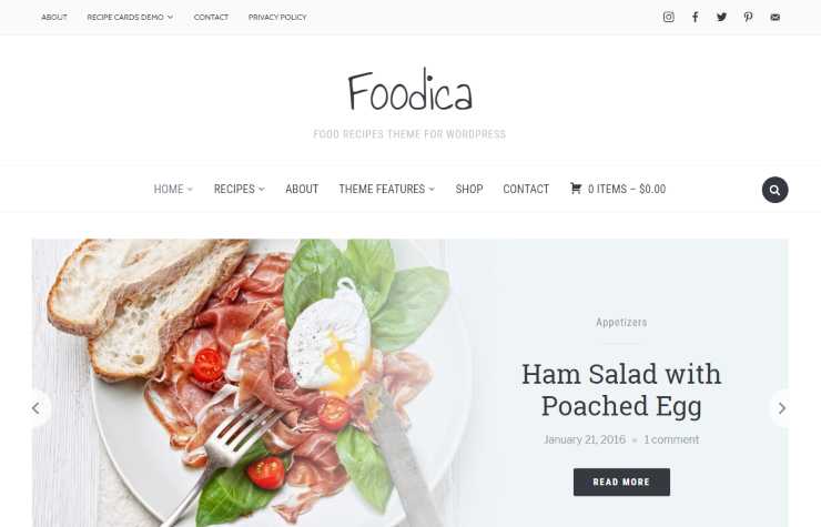 foodica wordpress theme
